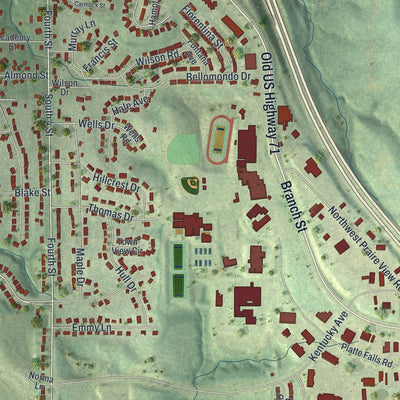 Close-up of the map of Platte City, Missouri print showing street and building detail