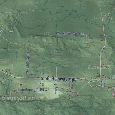 Close-up of the map of Felch, Michigan print showing street and building detail