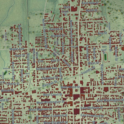 Close-up of the map of Paris, Illinois print showing street and building detail