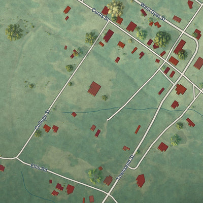 Close-up of the map of Glenwood, Alabama print showing street and building detail