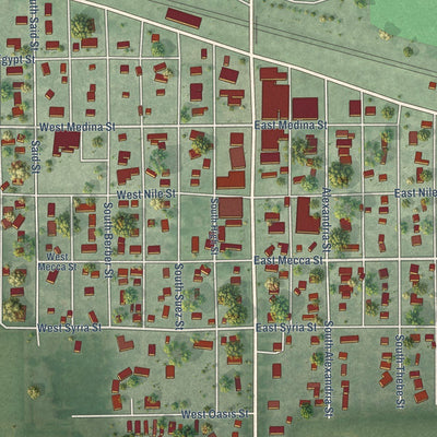 Close-up of the map of Cairo, Nebraska print showing street and building detail