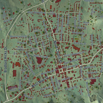 Close-up of the map of Livingston, Tennessee print showing street and building detail