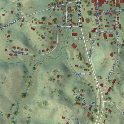 Close-up of the map of Fincastle, Virginia print showing street and building detail