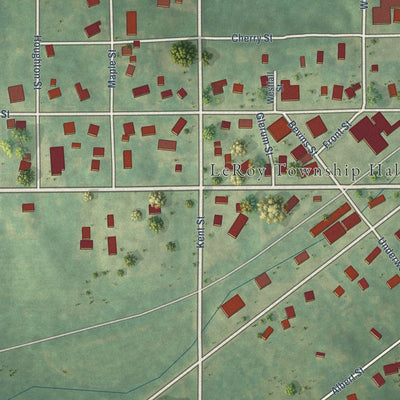 Close-up of the map of Le Roy, Michigan print showing street and building detail