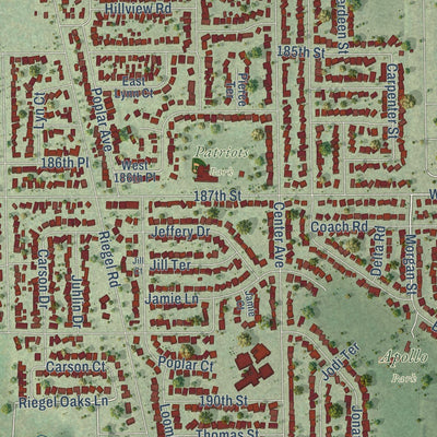 Close-up of the map of Homewood, Illinois print showing street and building detail
