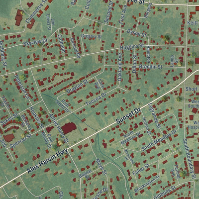 Close-up of the map of Manning, South Carolina print showing street and building detail