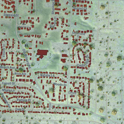 Close-up of the map of Steilacoom, Washington print showing street and building detail