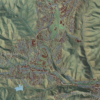 Close-up of the map of Ruidoso, New Mexico print showing street and building detail