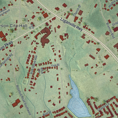 Close-up of the map of Grayson, Georgia print showing street and building detail