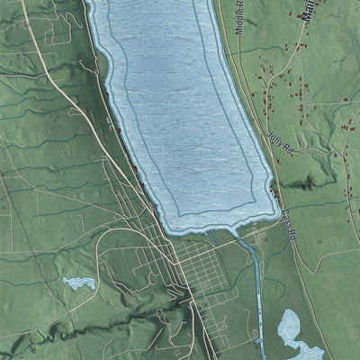 Close-up of the map of Hector, New York print showing street and building detail
