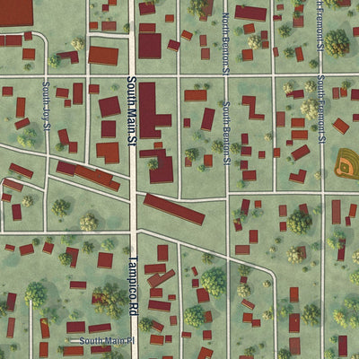 Close-up of the map of Tampico, Illinois print showing street and building detail