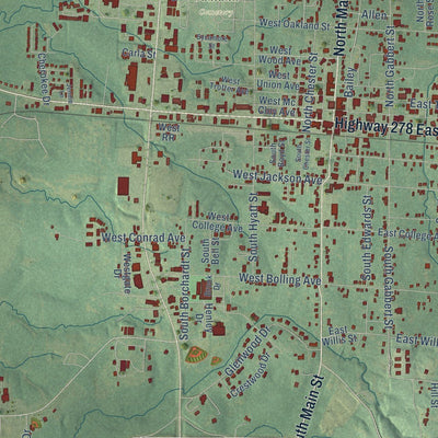 Close-up of the map of Monticello, Arkansas print showing street and building detail