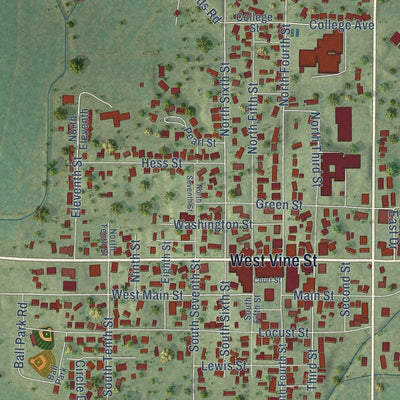 Close-up of the map of Vienna, Illinois print showing street and building detail