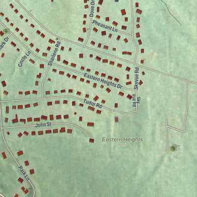 Close-up of the map of East Ithaca, New York print showing street and building detail