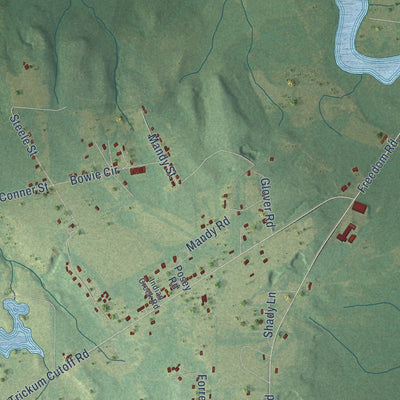 Close-up of the map of White Hall, Alabama print showing street and building detail