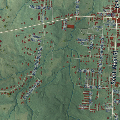 Close-up of the map of Somerville, Tennessee print showing street and building detail