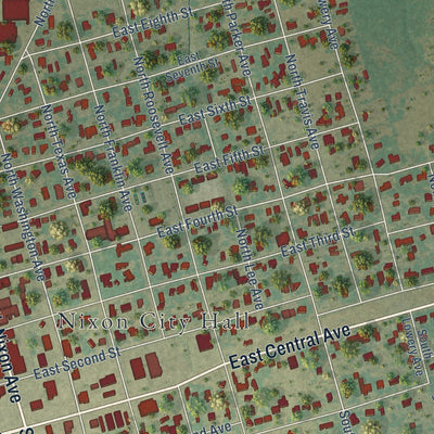 Close-up of the map of Nixon, Texas print showing street and building detail