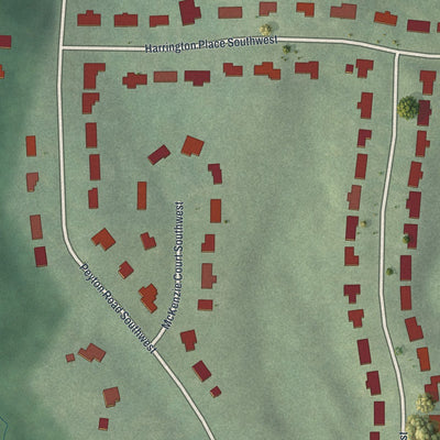 Close-up of the map of Peyton Heights, Georgia print showing street and building detail