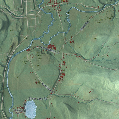 Close-up of the map of Pittsfield, New York print showing street and building detail