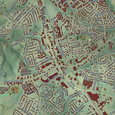 Close-up of the map of Mauldin, South Carolina print showing street and building detail