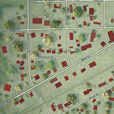 Close-up of the map of Malden, Illinois print showing street and building detail