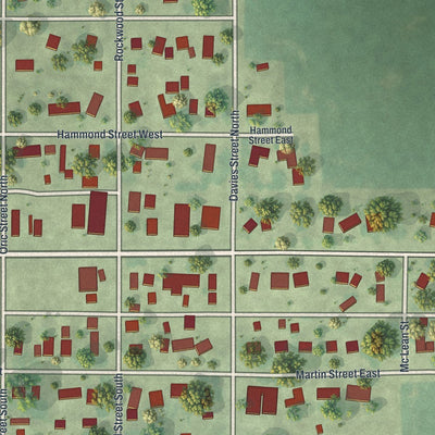 Close-up of the map of Lewisville, Minnesota print showing street and building detail