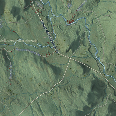 Close-up of the map of Wentworth, New Hampshire print showing street and building detail