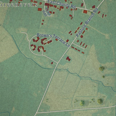 Close-up of the map of Greenevers, North Carolina print showing street and building detail