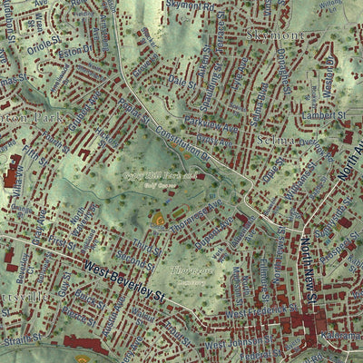 Close-up of the map of Staunton, Virginia print showing street and building detail