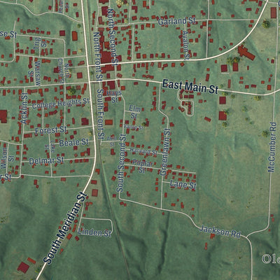 Close-up of the map of Greenfield, Tennessee print showing street and building detail