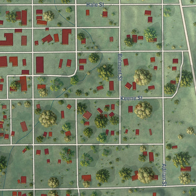 Close-up of the map of Ansley, Nebraska print showing street and building detail