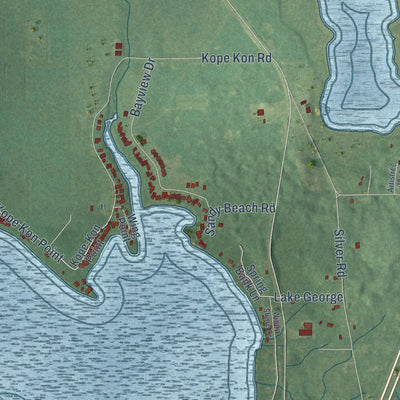 Close-up of the map of Kinderhook, Michigan print showing street and building detail