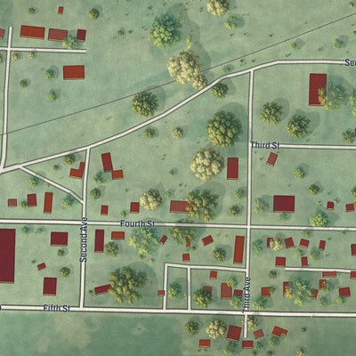 Close-up of the map of Nassau, Minnesota print showing street and building detail