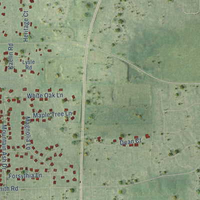 Close-up of the map of Wayne, Illinois print showing street and building detail