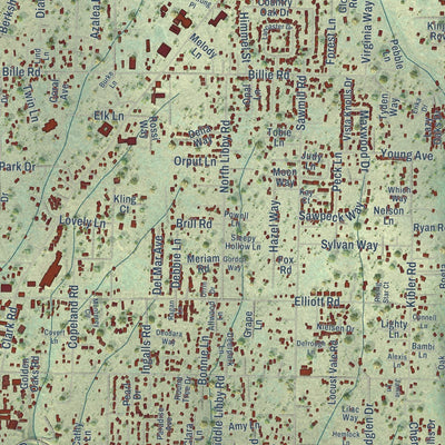 Close-up of the map of Paradise, California print showing street and building detail