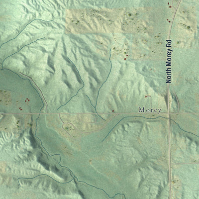 Close-up of the map of Bloomfield, Missaukee County, Michigan print showing street and building detail
