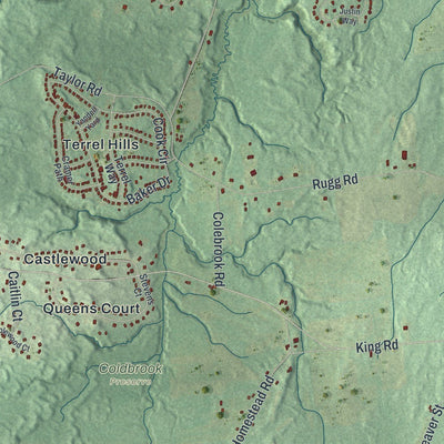 Close-up of the map of Northumberland, New York print showing street and building detail