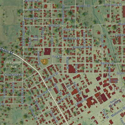 Close-up of the map of Eldorado, Illinois print showing street and building detail