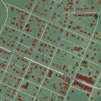 Close-up of the map of Caddo, Oklahoma print showing street and building detail
