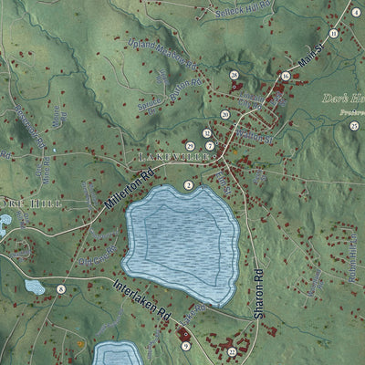 Close-up of the map of Salisbury, Connecticut print showing street and building detail