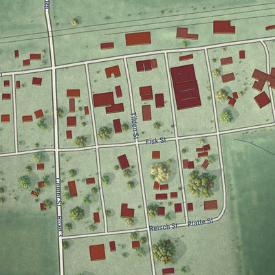 Close-up of the map of Richland, Nebraska print showing street and building detail
