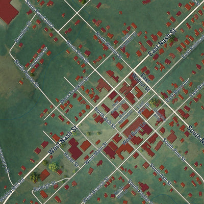 Close-up of the map of Spring Hope, North Carolina print showing street and building detail