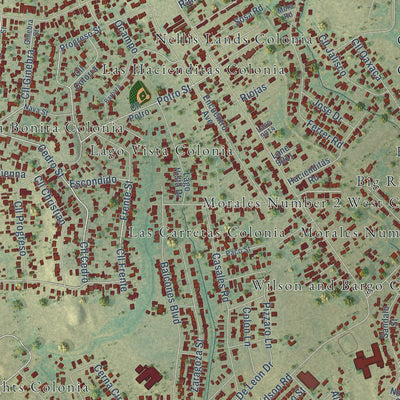 Close-up of the map of Eidson Road, Texas print showing street and building detail