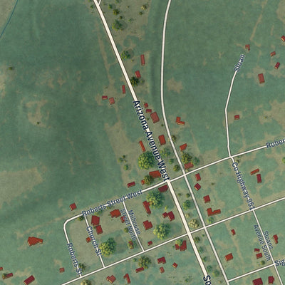 Close-up of the map of Perry, South Carolina print showing street and building detail