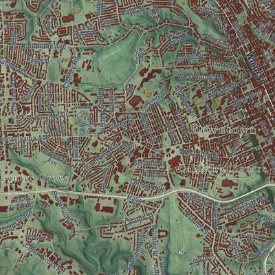 Close-up of the map of Dubuque, Iowa print showing street and building detail