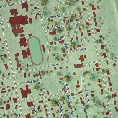 Close-up of the map of Daisetta, Texas print showing street and building detail