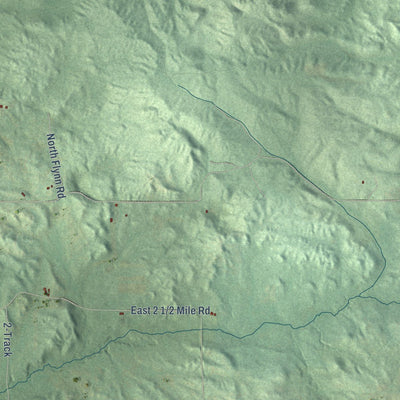 Close-up of the map of Ellsworth, Lake County, Michigan print showing street and building detail