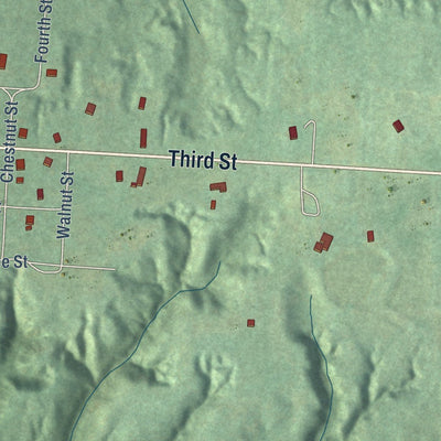 Close-up of the map of La Grange, Tennessee print showing street and building detail