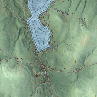 Close-up of the map of Nelson, New York print showing street and building detail
