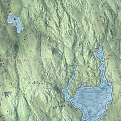 Close-up of the map of Woodbury, Connecticut print showing street and building detail
